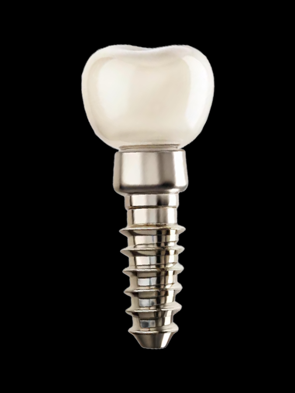 Straumann Dental Implant